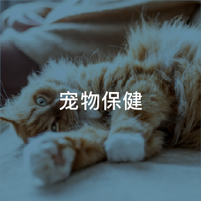 宠物保健