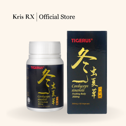 Cordyceps 冬虫夏草子实体 60's